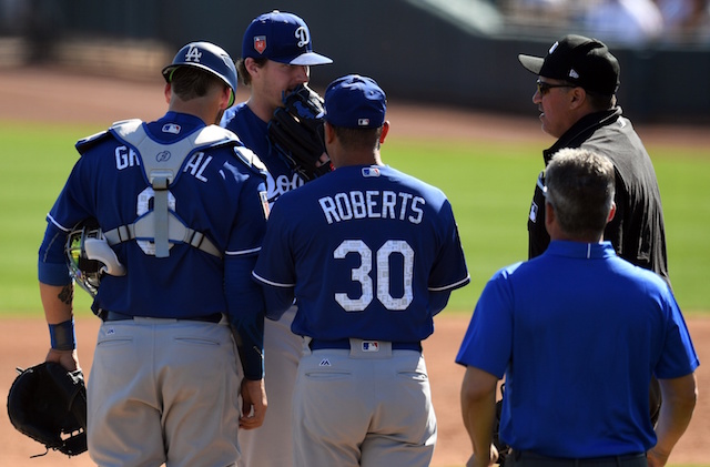 Yasmani Grandal, Tom Koehler, Nate Lucero, Dave Roberts