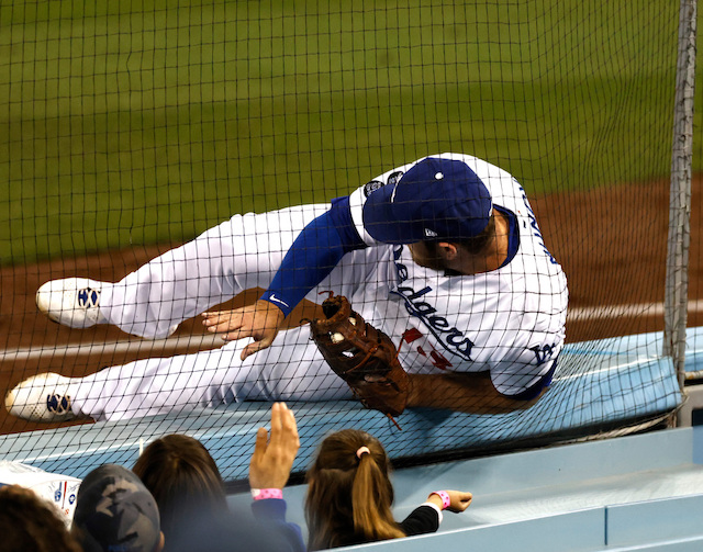 Max Muncy, protective netting