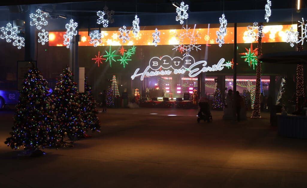 Christmas trees, center field plaza, 2021 Dodgers Holiday Festival