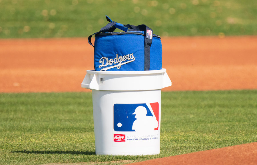 Dodgers baseball bag, workout 2023 Spring Training