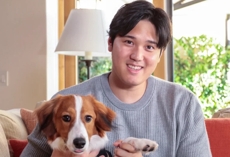 Shohei Ohtani, Dekopin, Decoy, Shohei Ohtani's dog